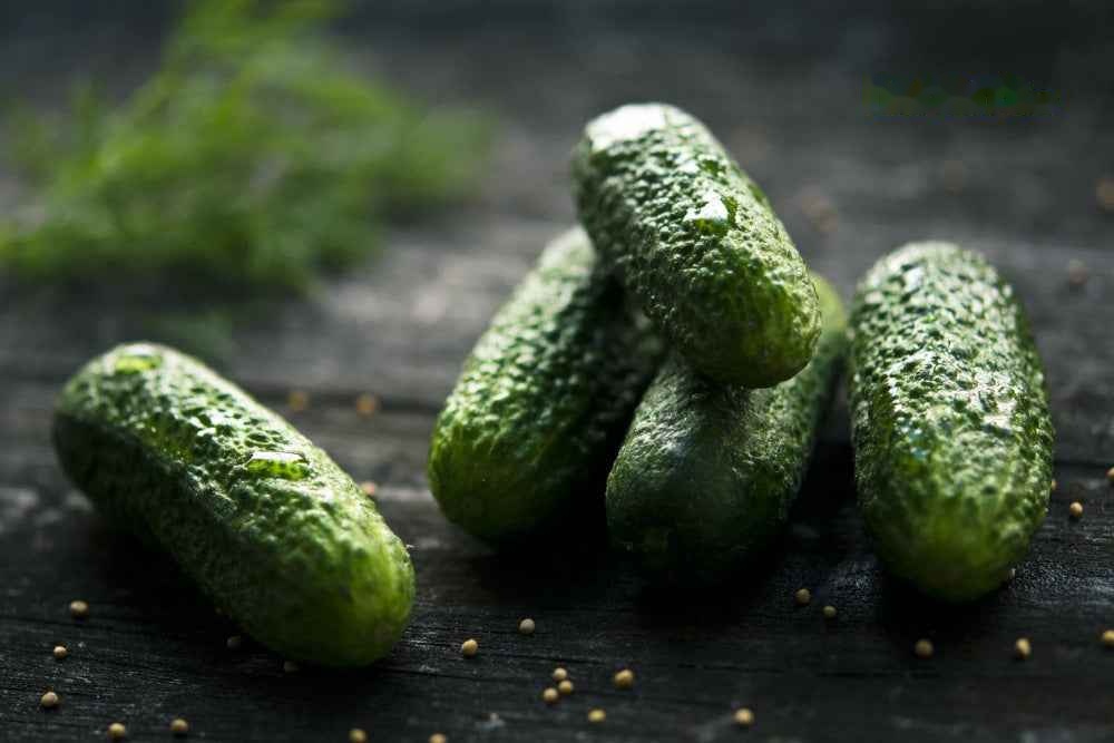 Savoury Seasonings - Dill Pickle - Bulk Bag in Box 4LB -Item#513425