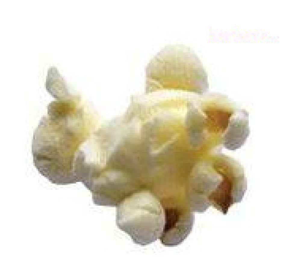 Hulless Gourmet Popping Corn Kernels - 50LB Bag -Item#5102