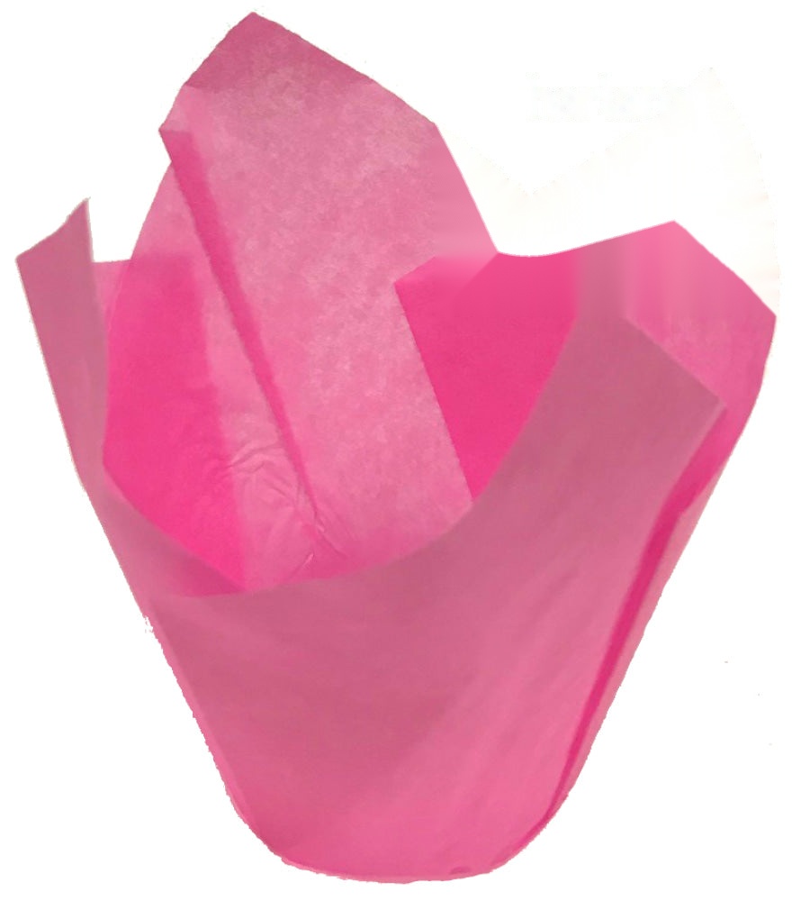 Tulip Baking Cups - Pink (6x7cm) 4588544S