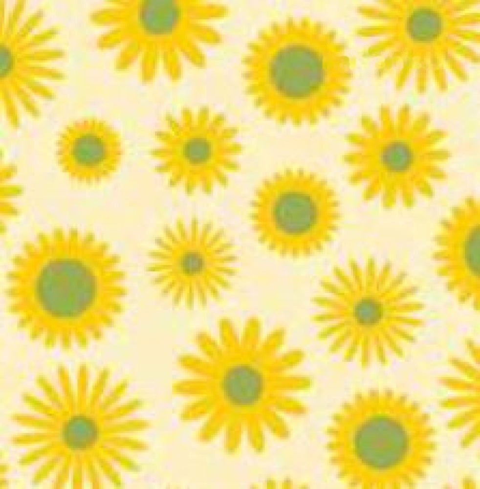 DAISIES 4510916