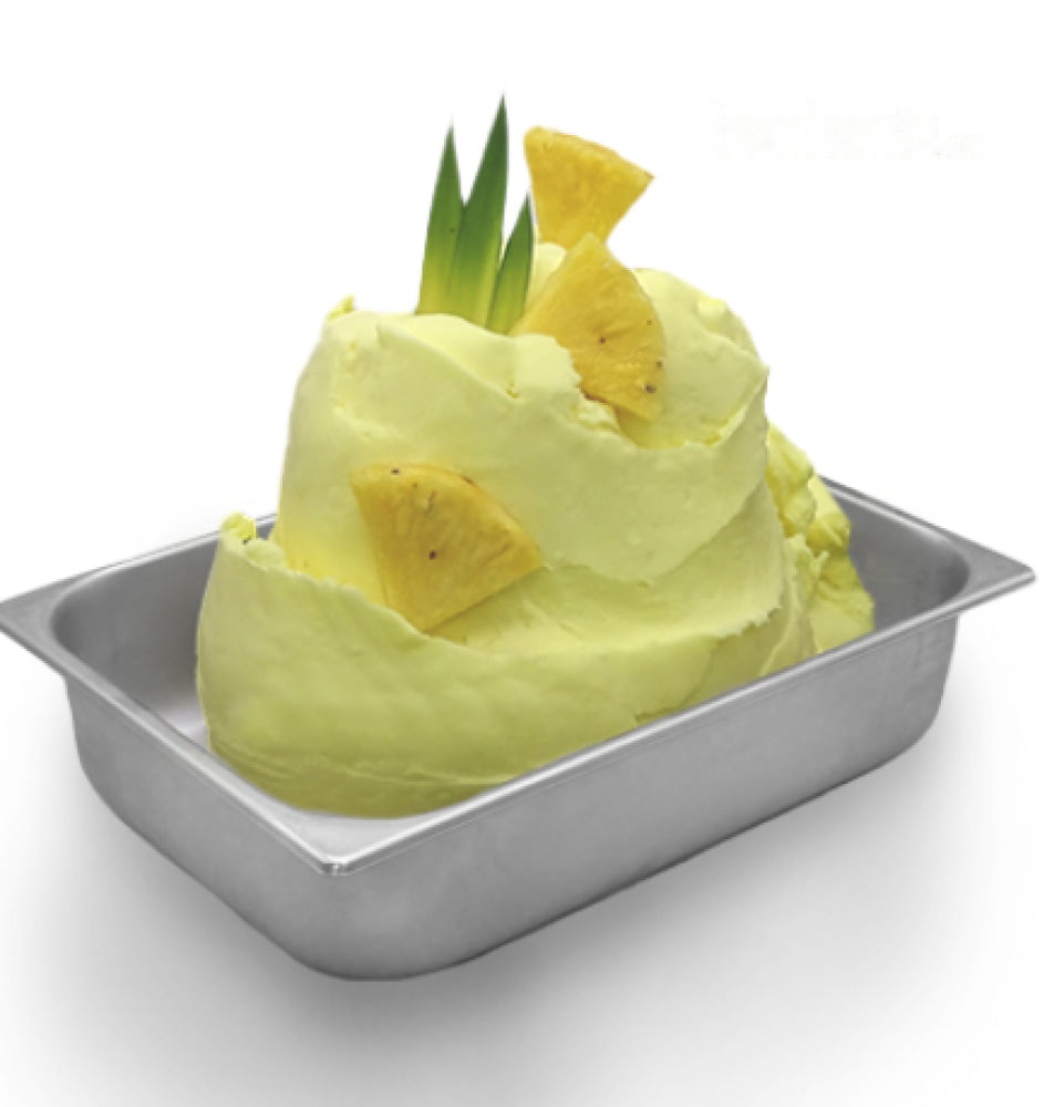 MEC3 Sorbetto Mix Pineapple/Ananas 500 (w/pieces)-Vegan